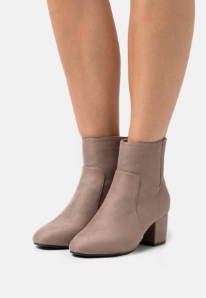 Anna Field Klassieke Ankle Boots Enkellaarzen Dames Grijs Bruin | 3126-DWKVZ