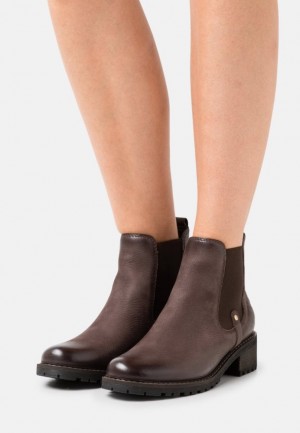 Anna Field Leren Ankle Boots Enkellaarzen Dames Donkerbruin | 1479-KFTHN