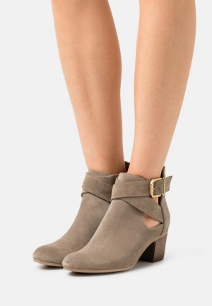 Anna Field Leren Ankle Boots Enkellaarzen Dames Grijs Bruin | 7549-ABKOH