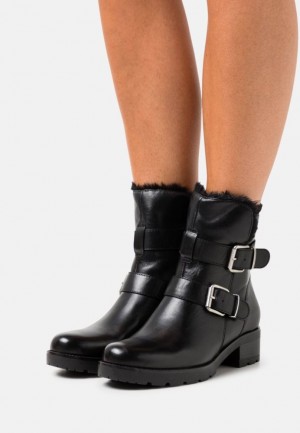 Anna Field Leren Platform Ankle Boots Enkellaarzen Dames Zwart | 5601-QIUYR