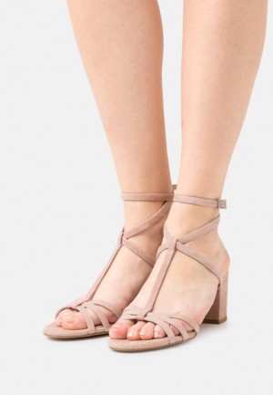 Anna Field Leren Sandals Sandalen Dames Beige | 3597-LZQUO