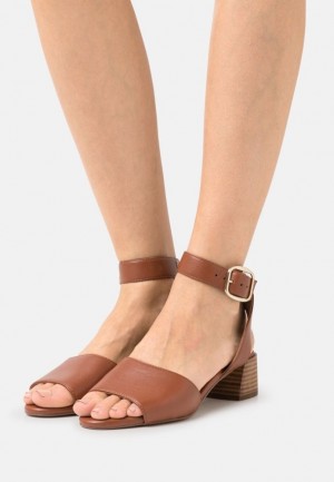 Anna Field Leren Sandals Sandalen Dames Bruin | 2568-FBARH