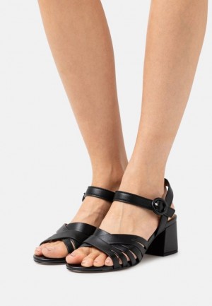 Anna Field Leren Sandals Sandalen Dames Zwart | 7958-OIBLN