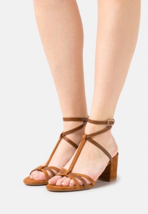 Anna Field Leren Sandals Sandalen Dames Bruin | 5934-MUKFH