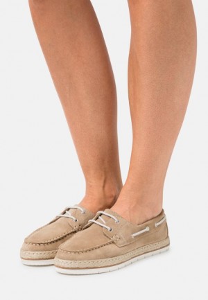 Anna Field Leren Vrijetijds Kanten Ups Laag Schoenen Dames Beige | 4350-KYZMW