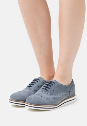 Anna Field Leren Vrijetijds Kanten Ups Laag Schoenen Dames Blauw | 4215-NQLKX