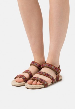 Anna Field Sandals Sandalen Dames Bordeaux | 4873-KZLTC