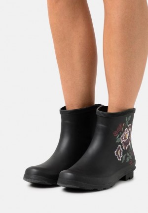 Anna Field Wellies Enkellaarzen Dames Zwart | 5943-PBTCX