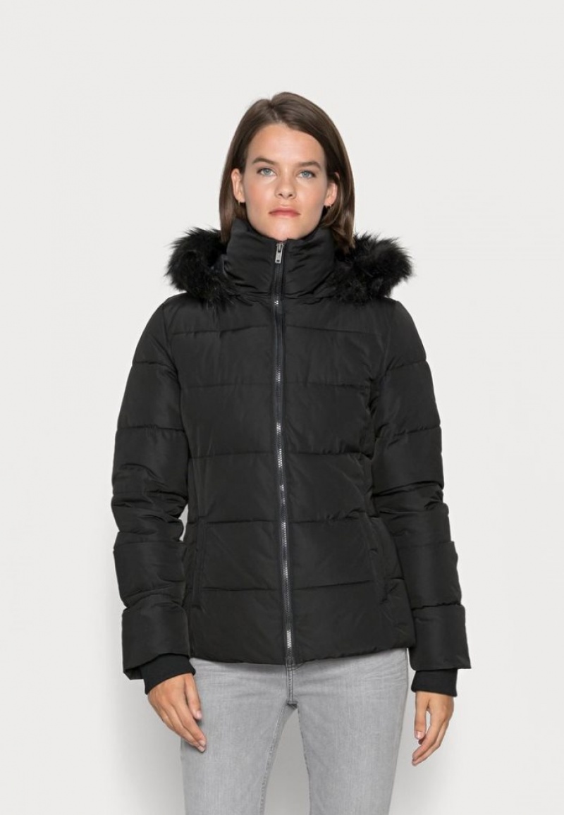 Anna Field Kort Puffer With Hood Winter Jacket Mantel Dames Zwart | 4587-YVIJB