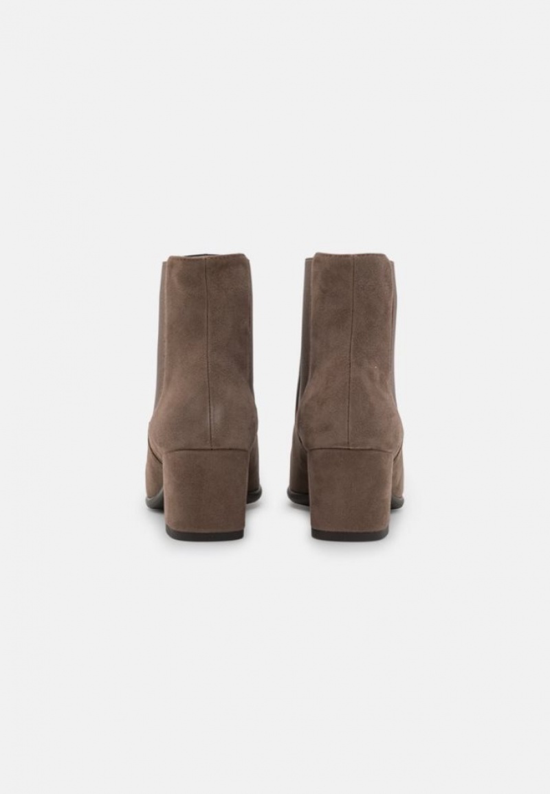 Anna Field Leren Klassieke Ankle Boots Enkellaarzen Dames Grijs Bruin | 1427-SICHW