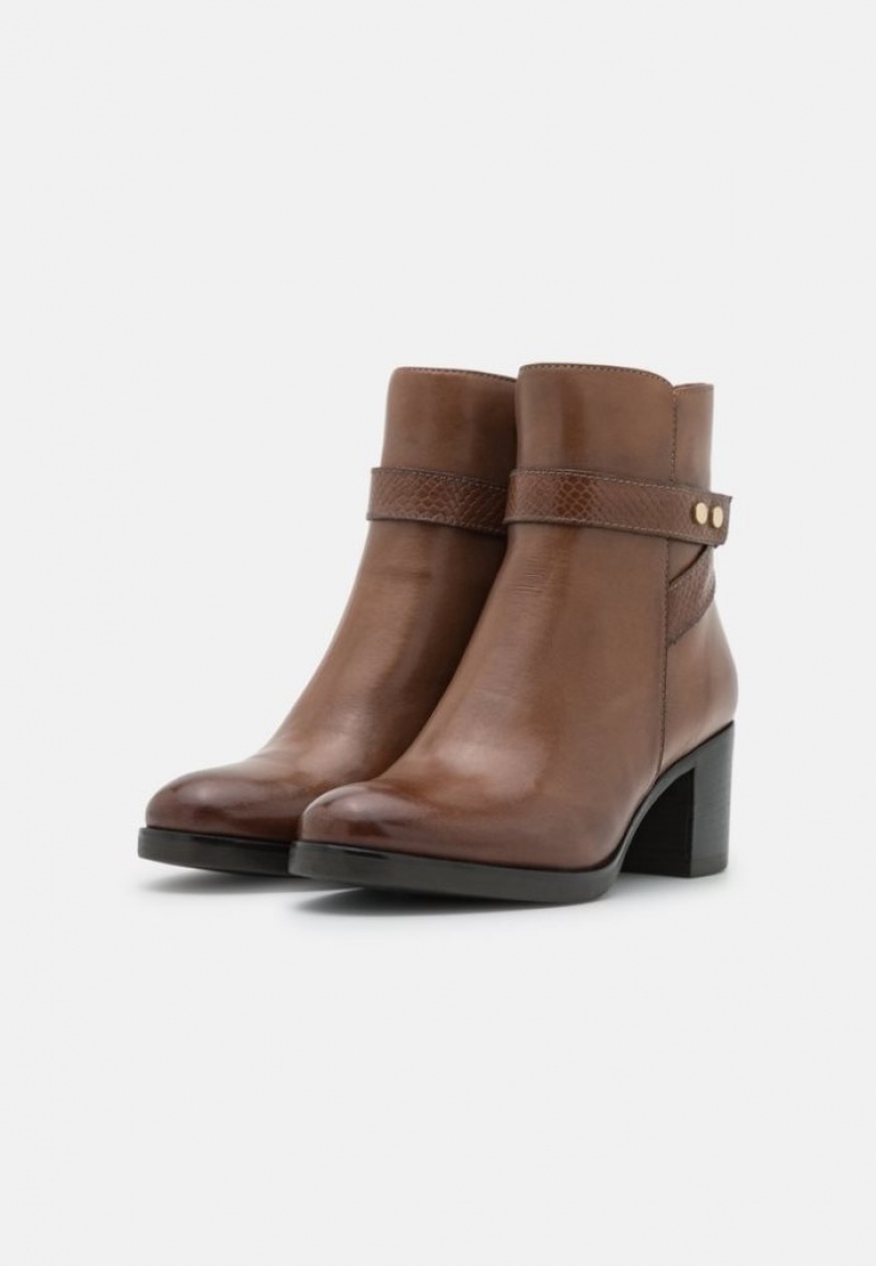 Anna Field Leren Klassieke Ankle Boots Enkellaarzen Dames Bruin | 8976-PCRJG