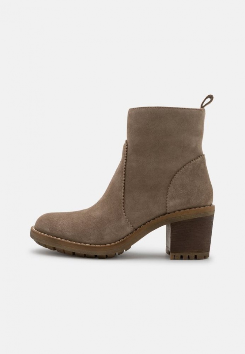 Anna Field Leren Klassieke Ankle Boots Enkellaarzen Dames Grijs Bruin | 7950-GKZIJ