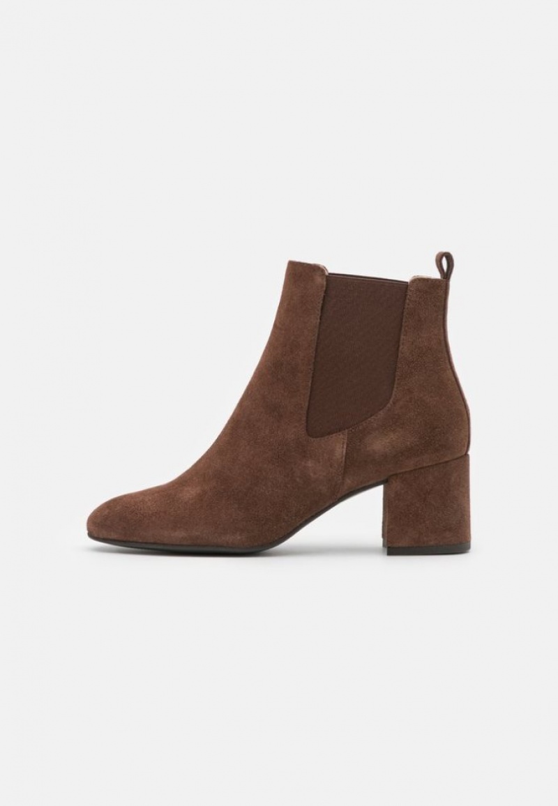 Anna Field Leren Klassieke Ankle Boots Enkellaarzen Dames Bruin | 6941-PENOX