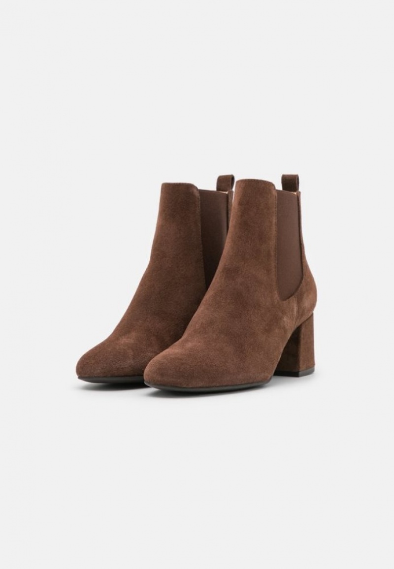 Anna Field Leren Klassieke Ankle Boots Enkellaarzen Dames Bruin | 6941-PENOX