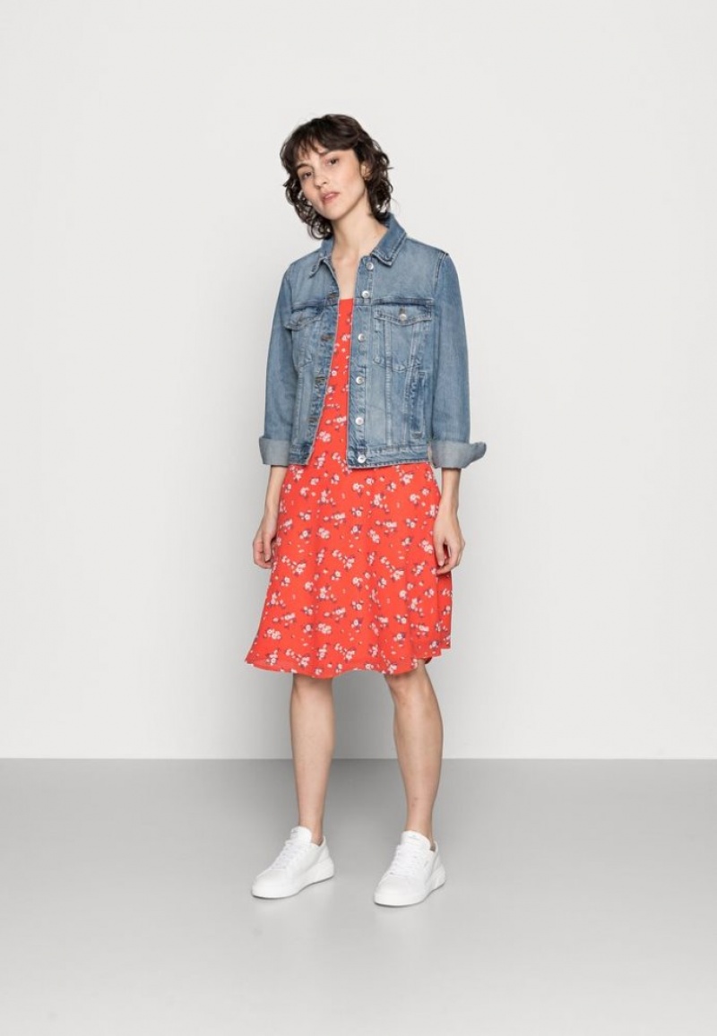 Anna Field Strappa Fit And Flare Day Jurken Jurk Dames Rood | 1385-AEXNY