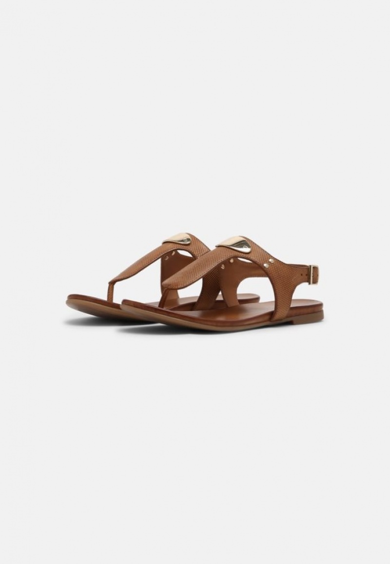 Anna Field T Bar Sandals Sandalen Dames Bruin | 9460-WCKQX